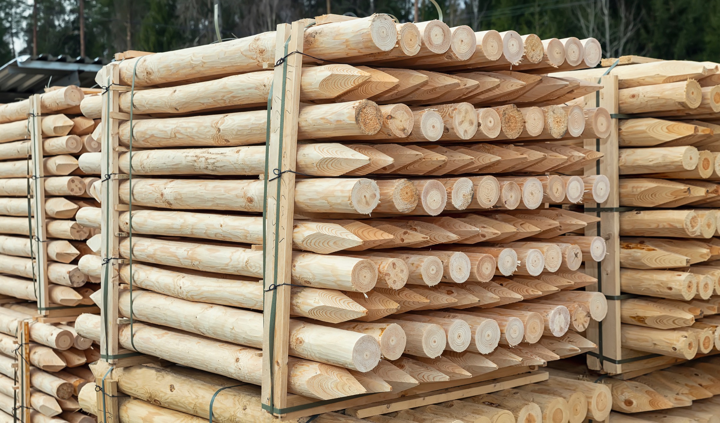 Zaunpfahl 8 cm 1,75m lang