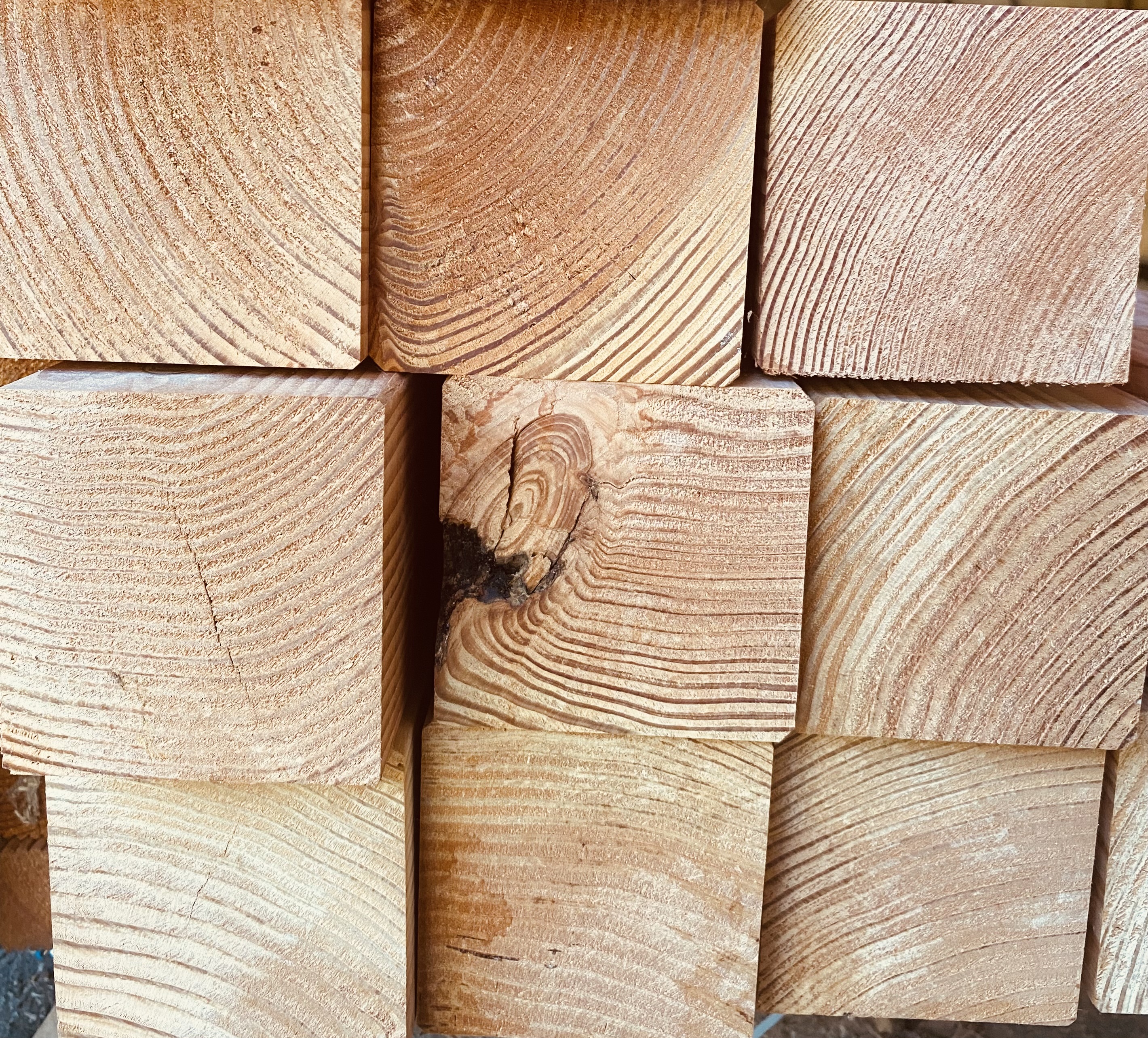 Douglasiepfosten 90/90 5m