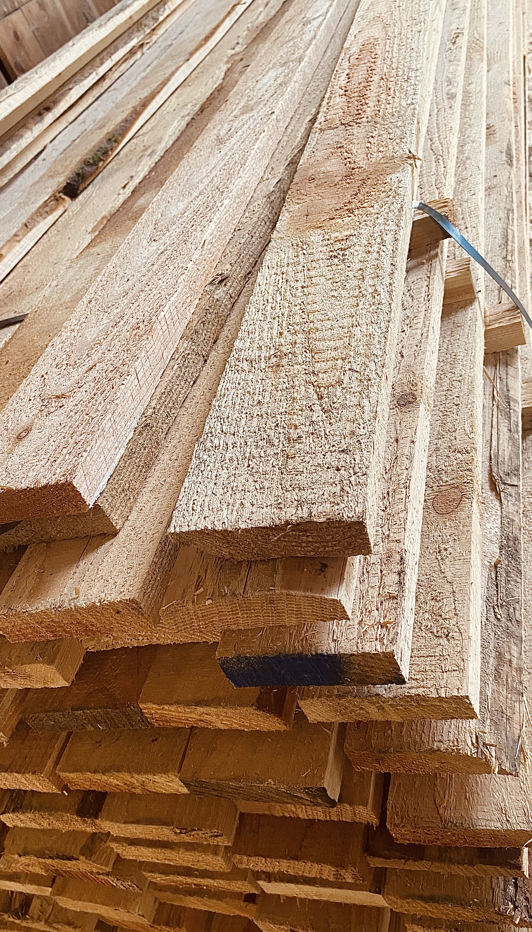 Schwartenbretter 20/100